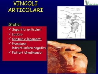 VINCOLI ARTICOLARI Statici Superfici articolari Labbro Capsula e legamenti Pressione intrarticolare negativa Fattori idrodinamici 