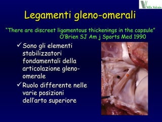 Legamenti gleno-omerali Sono gli elementi stabilizzatori fondamentali della articolazione gleno-omerale Ruolo differente nelle varie posizioni dell’arto superiore “ There are discreet ligamentous thickenings in the capsule” O’Brien SJ Am j Sports Med 1990 