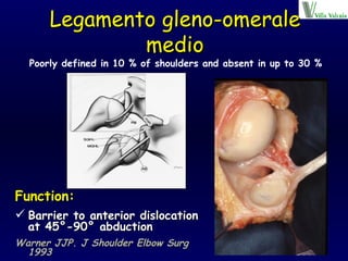 Function:   Barrier to anterior dislocation at 45°-90° abduction Warner JJP. J Shoulder Elbow Surg 1993 Legamento gleno-omerale medio Poorly defined in 10 % of shoulders and absent in up to 30 % 