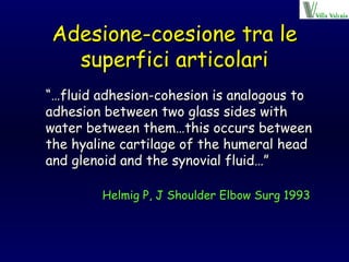 Adesione-coesione tra le superfici articolari “… fluid adhesion-cohesion is analogous to adhesion between two glass sides with water between them…this occurs between the hyaline cartilage of the humeral head and glenoid and the synovial fluid…” Helmig P, J Shoulder Elbow Surg 1993 