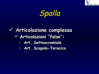 Spalla Articolazione complessa Articolazioni “false”: Art. Sottoacromiale Art. Scapolo-Toracica 