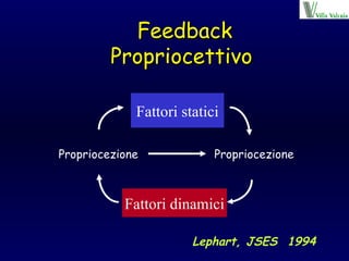 Feedback Propriocettivo  Propriocezione Fattori dinamici Propriocezione Fattori statici Lephart, JSES  1994 