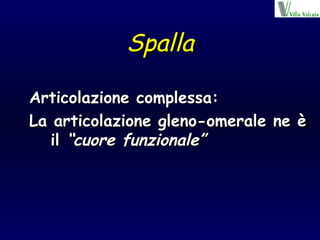 Spalla Articolazione complessa: La articolazione gleno-omerale ne è il  “cuore funzionale” 