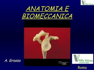 ANATOMIA E BIOMECCANICA A. Grasso Roma 