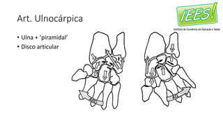 Art. Ulnocárpica
• Ulna + ‘piramidal’
• Disco articular
 
