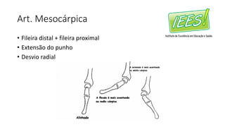 Art. Mesocárpica
• Fileira distal + fileira proximal
• Extensão do punho
• Desvio radial
 