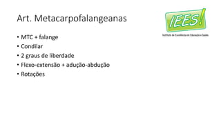 Art. Metacarpofalangeanas
• MTC + falange
• Condilar
• 2 graus de liberdade
• Flexo-extensão + adução-abdução
• Rotações
 