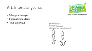 Art. Interfalangeanas
• Falange + falange
• 1 grau de liberdade
• Flexo-extensão
 