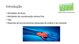 Introdução
• Atividades de força
• Atividades de coordenação motora fina
• Tato
• Depende do funcionamento adequado do ombro e do cotovelo
 