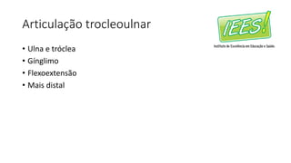 Articulação trocleoulnar
• Ulna e tróclea
• Gínglimo
• Flexoextensão
• Mais distal
 