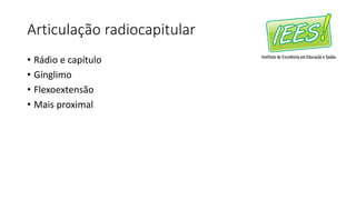 Articulação radiocapitular
• Rádio e capítulo
• Gínglimo
• Flexoextensão
• Mais proximal
 