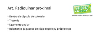 Art. Radioulnar proximal
• Dentro da cápsula do cotovelo
• Trocoide
• Ligamento anular
• Rolamento da cabeça do rádio sobre seu próprio eixo
 