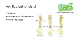 Art. Radioulnar distal
• Trocoide
• Rolamento do rádio sobre a ulna
• Prono-supinação
 
