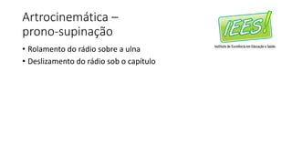 Artrocinemática –
prono-supinação
• Rolamento do rádio sobre a ulna
• Deslizamento do rádio sob o capítulo
 
