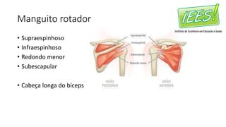 Manguito rotador
• Supraespinhoso
• Infraespinhoso
• Redondo menor
• Subescapular
• Cabeça longa do bíceps
 