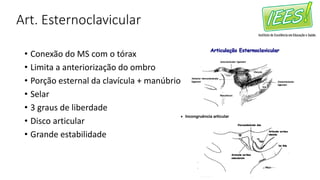 Art. Esternoclavicular
• Conexão do MS com o tórax
• Limita a anteriorização do ombro
• Porção esternal da clavícula + manúbrio
• Selar
• 3 graus de liberdade
• Disco articular
• Grande estabilidade
 