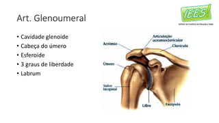 Art. Glenoumeral
• Cavidade glenoide
• Cabeça do úmero
• Esferoide
• 3 graus de liberdade
• Labrum
 
