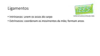 Ligamentos
• Intrínsecos: unem os ossos do carpo
• Extrínsecos: coordenam os movimentos da mão; formam arcos
 
