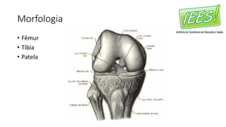 Morfologia
• Fêmur
• Tíbia
• Patela
 