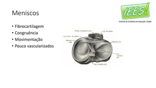 Meniscos
• Fibrocartilagem
• Congruência
• Movimentação
• Pouco vascularizados
 