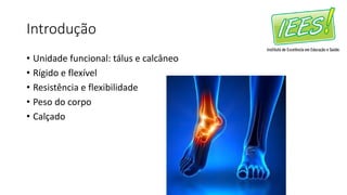 Introdução
• Unidade funcional: tálus e calcâneo
• Rígido e flexível
• Resistência e flexibilidade
• Peso do corpo
• Calçado
 