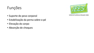 Funções
• Suporte do peso corporal
• Estabilização da perna sobre o pé
• Elevação do corpo
• Absorção de choques
 