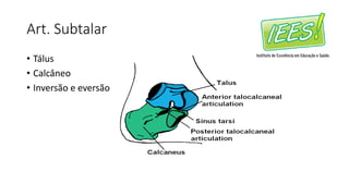 Art. Subtalar
• Tálus
• Calcâneo
• Inversão e eversão
 