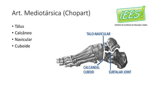 Art. Mediotársica (Chopart)
• Tálus
• Calcâneo
• Navicular
• Cuboide
 