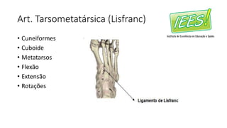 Art. Tarsometatársica (Lisfranc)
• Cuneiformes
• Cuboide
• Metatarsos
• Flexão
• Extensão
• Rotações
 