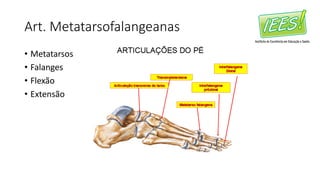Art. Metatarsofalangeanas
• Metatarsos
• Falanges
• Flexão
• Extensão
 