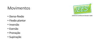 Movimentos
• Dorso-flexão
• Flexão plantar
• Inversão
• Eversão
• Pronação
• Supinação
 