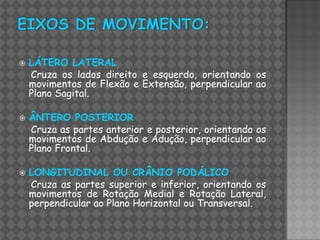    LÁTERO LATERAL
    Cruza os lados direito e esquerdo, orientando os
    movimentos de Flexão e Extensão, perpendicular ao
    Plano Sagital.

   ÂNTERO POSTERIOR
    Cruza as partes anterior e posterior, orientando os
    movimentos de Abdução e Adução, perpendicular ao
    Plano Frontal.

   LONGITUDINAL OU CRÂNIO PODÁLICO
    Cruza as partes superior e inferior, orientando os
    movimentos de Rotação Medial e Rotação Lateral,
    perpendicular ao Plano Horizontal ou Transversal.
 