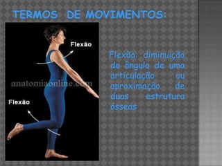 Flexão: diminuição
do ângulo de uma
articulação     ou
aproximação     de
duas     estrutura
ósseas
 