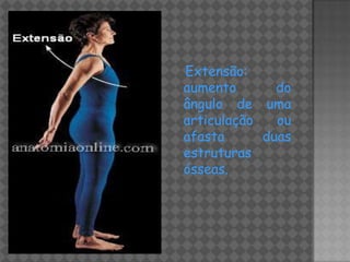 Extensão:
aumento       do
ângulo de uma
articulação   ou
afasta      duas
estruturas
ósseas.
 