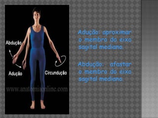 Adução: aproximar
o membro do eixo
sagital mediano.

Abdução: afastar
o membro do eixo
sagital mediano.
 