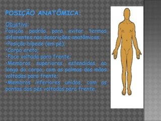 POSIÇÃO ANATÔMICA:
Objetivo:
Posição padrão para evitar termos
diferentes nas descrições anatômicas;
•Posição bípede (em pé);
•Corpo ereto;
•Face voltada para frente;
•Membros superiores estendidos ao
longo do corpo, com as palmas das mãos
voltadas para frente;
•Membros inferiores unidos, com as
pontas dos pés voltadas para frente.
 