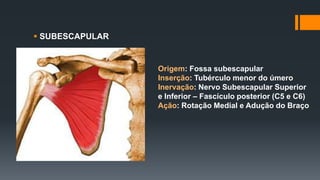 Subescapular ANATOMIA E CINESIOLOGIA DO OMBRO.pptx