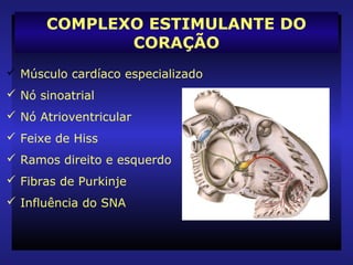  Músculo cardíaco especializado
 Nó sinoatrial
 Nó Atrioventricular
 Feixe de Hiss
 Ramos direito e esquerdo
 Fibras de Purkinje
 Influência do SNA
COMPLEXO ESTIMULANTE DO
CORAÇÃO
 