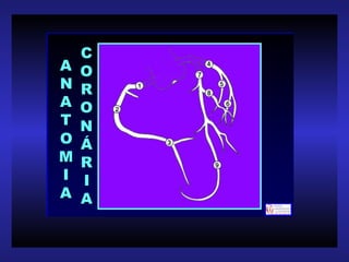 A
N
A
T
O
M
I
A
A
N
A
T
O
M
I
A
C
O
R
O
N
Á
R
I
A
C
O
R
O
N
Á
R
I
A
 