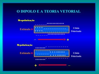 +_
_ _ _ _ _ _++++++++++++
+ + + + _ _ _ _ _ _ _ _ _ _ _
+ + + +_ _ _ _ _ _ _ _ _ _ _ _
Despolarização
+ _
Repolarização
___________+++++++
+++++++++_______
___________+++++++
+++++++++______
O DIPOLO E A TEORIA VETORIAL
_ _ _ _ _ _++++++++++++
Célula
Polarizada
Estímulo 
Estímulo  Célula
Polarizada
 