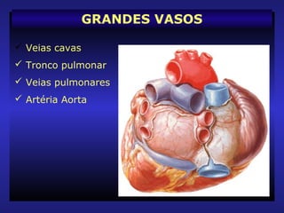  Veias cavas
 Tronco pulmonar
 Veias pulmonares
 Artéria Aorta
GRANDES VASOS
 