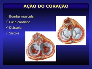  Bomba muscular
 Ciclo cardíaco
 Diástole
 Sístole
AÇÃO DO CORAÇÃO
 