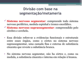 Anatomia Ed [Salvo Automaticamente].pptx