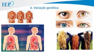 b. Variação genética
 