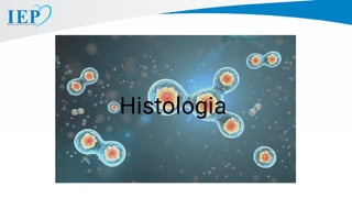 Histologia
 