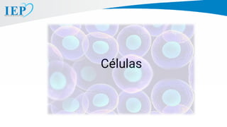 Células
 
