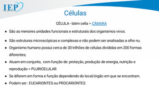 CÉLULA - latim cella = CÂMARA
● São as menores unidades funcionais e estruturais dos organismos vivos.
● São estruturas microscópicas e complexas e não podem ser analisadas a olho nu.
● Organismo humano possui cerca de 30 trilhões de células divididas em 200 formas
diferentes;
● Atuam em conjunto, com função de: proteção, produção de energia, nutrição e
reprodução = PLURICELULAR
● Se diferem em forma e função dependendo do local/órgão em que se encontram.
● Podem ser : EUCARIONTES ou PROCARIONTES
Células
 