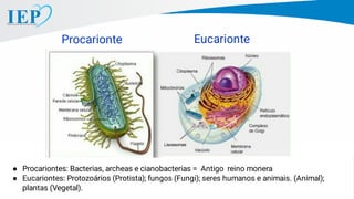 ● Procariontes: Bacterias, archeas e cianobacterias = Antigo reino monera
● Eucariontes: Protozoários (Protista); fungos (Fungi); seres humanos e animais. (Animal);
plantas (Vegetal).
Procarionte Eucarionte
 