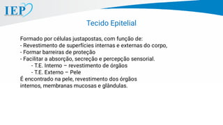 Tecido Epitelial
Formado por células justapostas, com função de:
- Revestimento de superfícies internas e externas do corpo,
- Formar barreiras de proteção
- Facilitar a absorção, secreção e percepção sensorial.
- T.E. Interno – revestimento de órgãos
- T.E. Externo – Pele
É encontrado na pele, revestimento dos órgãos
internos, membranas mucosas e glândulas.
 