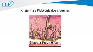 Sistema Tegumentar
Anatomia e Fisiologia dos sistemas
 
